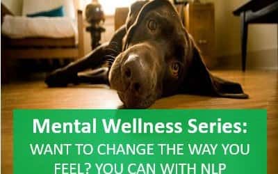 Want to change the way you feel? … you can with NLP Anchoring